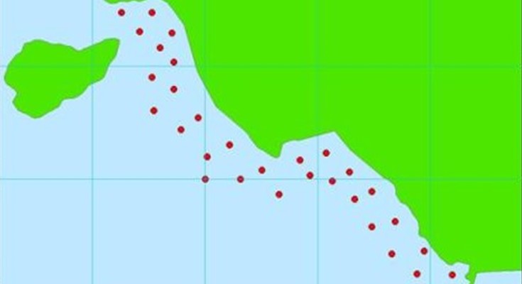 Gastropod Association In Seagrass Ecosystems Senggarang Besar Waters, Riau Island, Indonesia