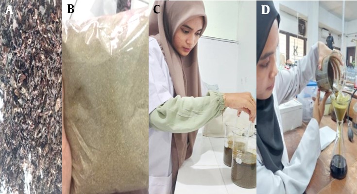 Gambar 2.  Proses ekstraksi daun miana